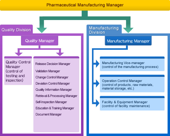 Quality Organization Chart