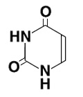 ウラシル構造式